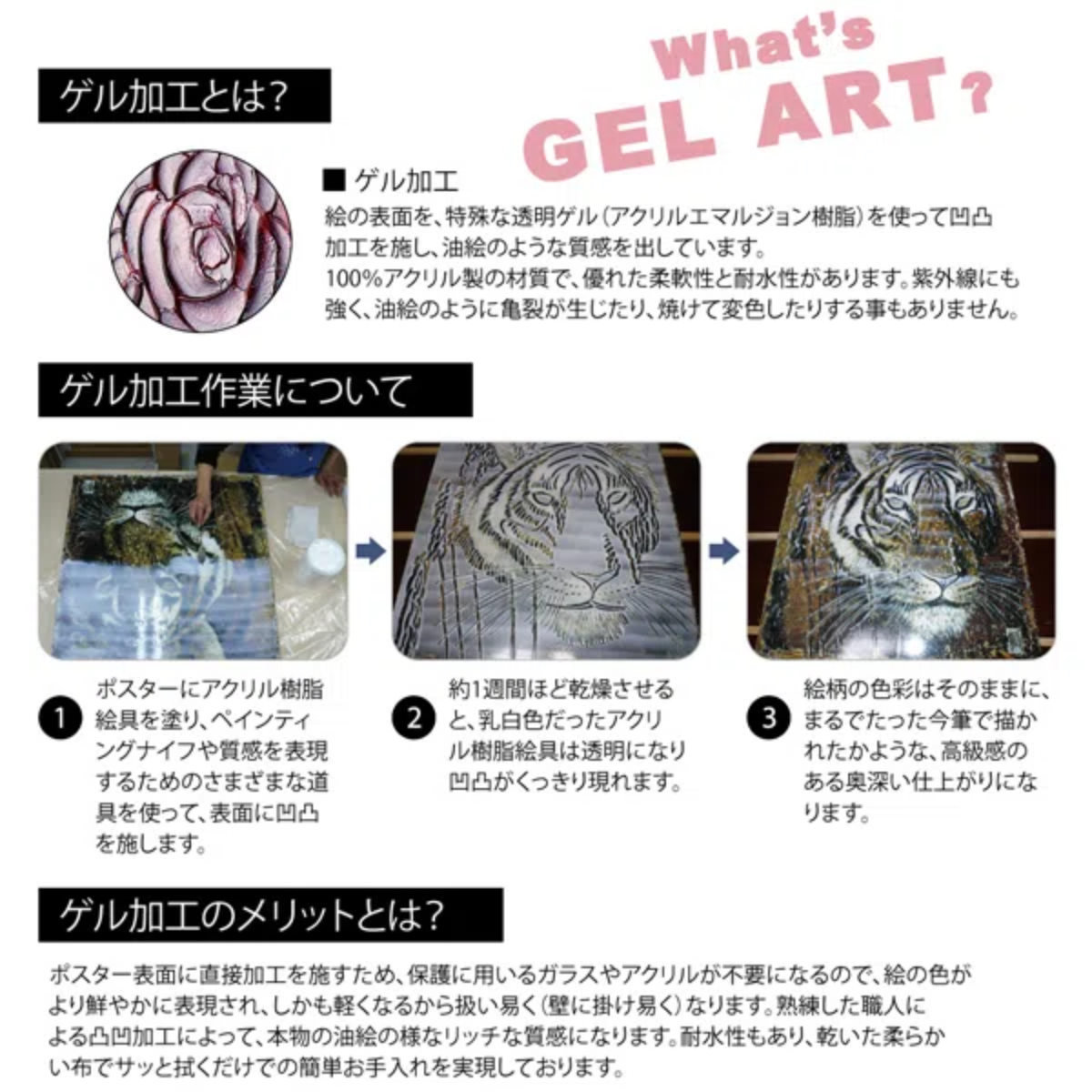 楽天市場】アートパネル コレン サラ 51×91cm （ 絵画 絵 アート