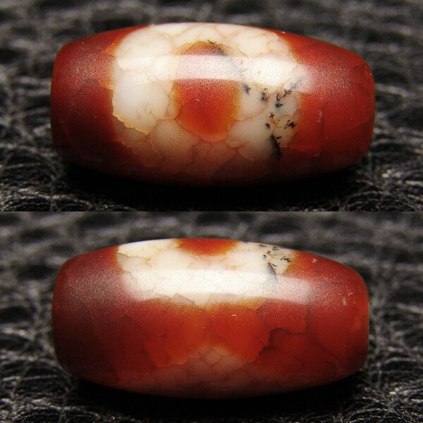 楽天市場】☆水草入り☆ 龍紋 増益星辰天珠 約19×9.5mm ◇特選◇【限定