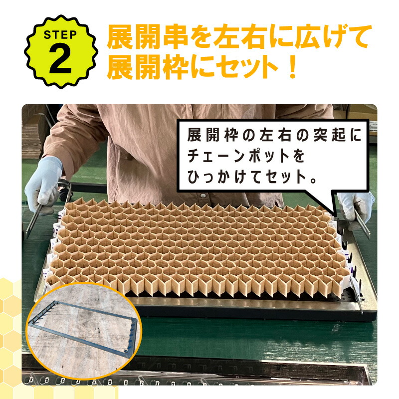 楽天市場】【3/31までエントリーで最大100%Pバック】播種5点セット