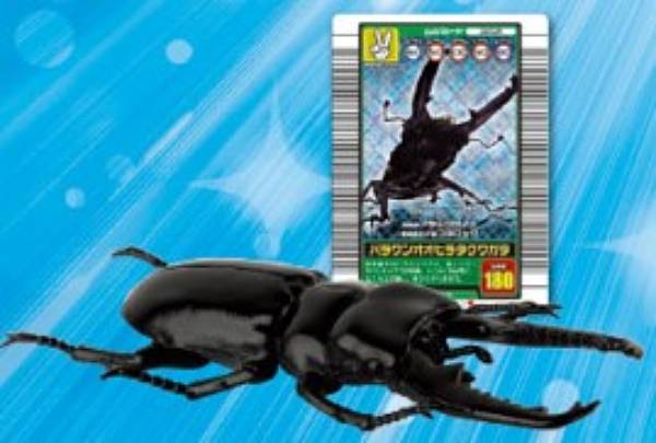 楽天市場】【パラワンオオヒラタクワガタ】甲虫王者ムシキング ムシ