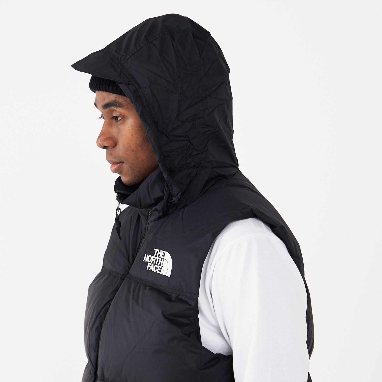 楽天市場】THE NORTH FACE ノースフェイス ダウン ベスト レトロ
