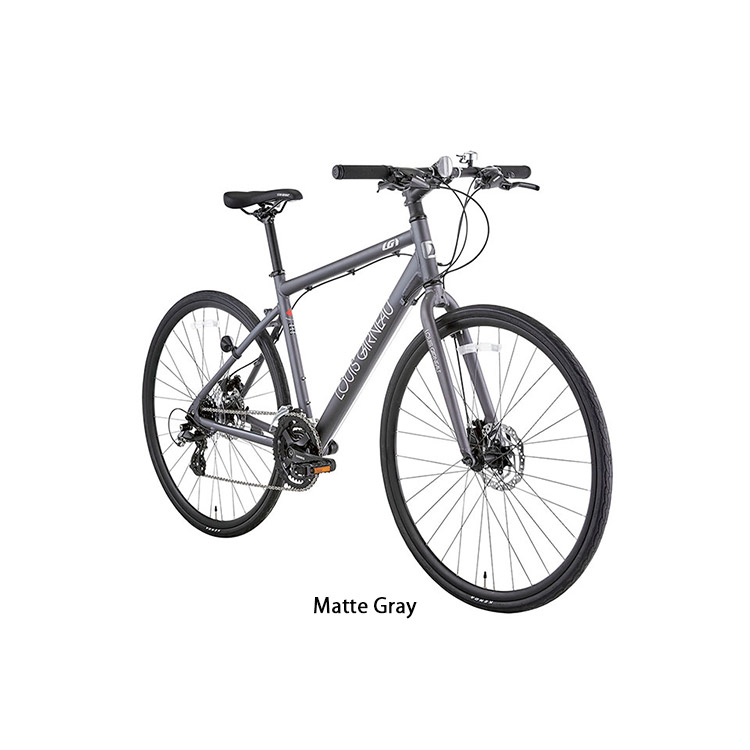 LOUIS GARNEAU(ルイガノ) SETTER9.0DISC(セッター9.0ディスク)