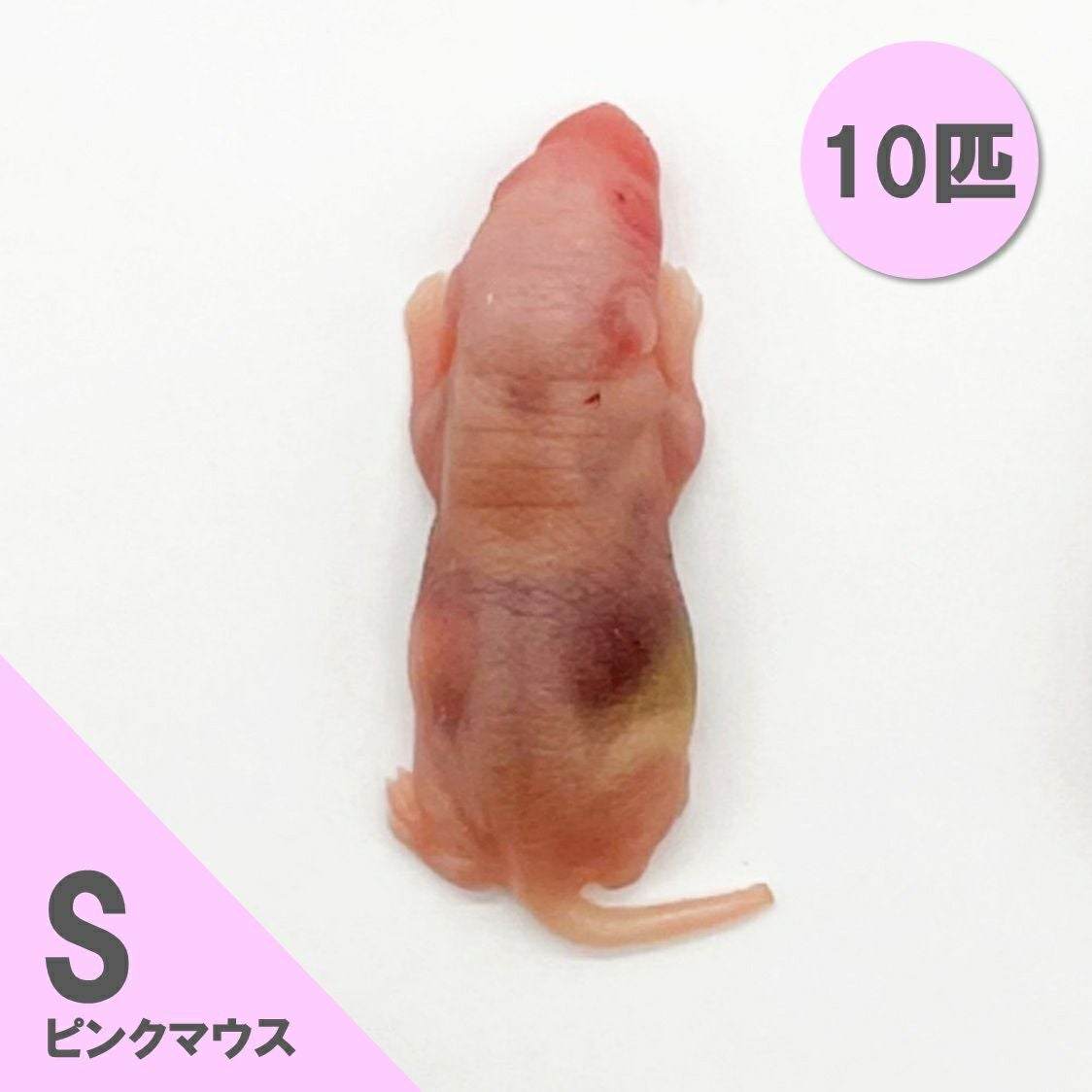 冷凍マウス | 月夜野ファームの通販