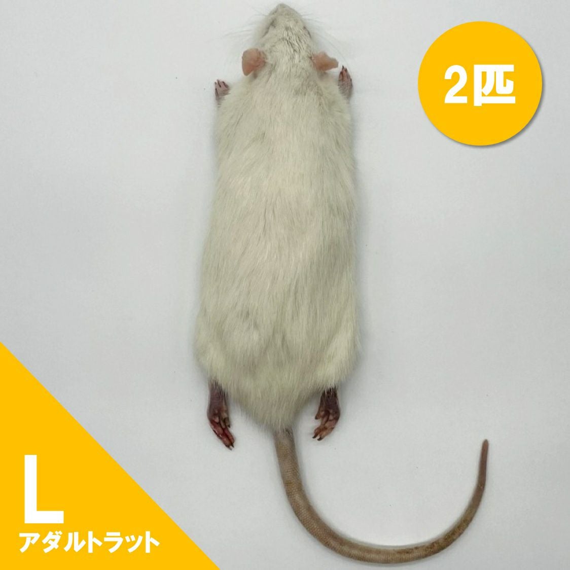 冷凍ラット | 月夜野ファームの通販