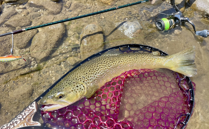 中禅寺湖でブラウントラウトの「解禁延期要請」が解除 原発事故の影響