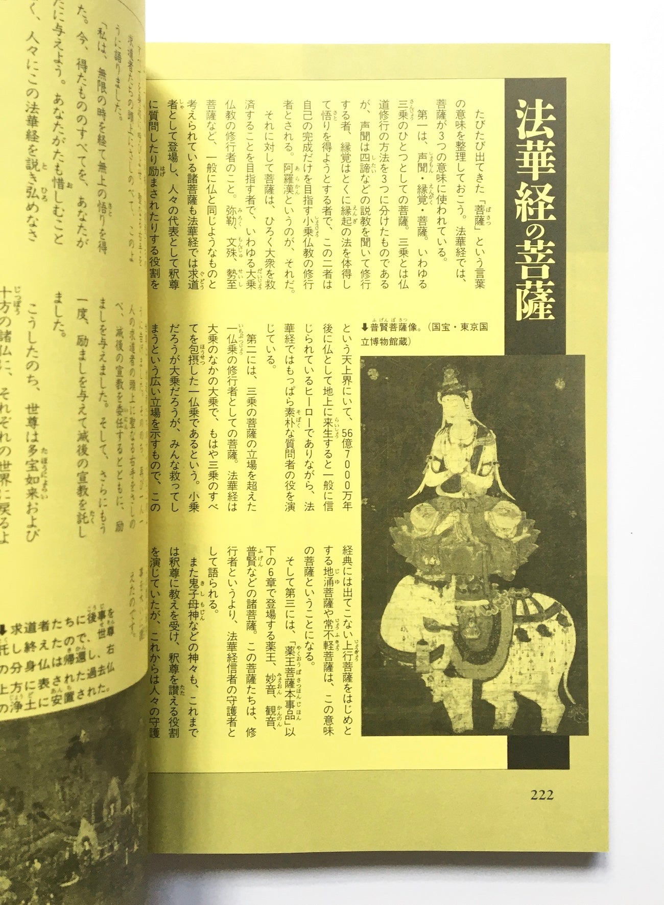 日蓮の本 : 末法の世を撃つ法華経の予言 (NEW SIGHT MOOK Books