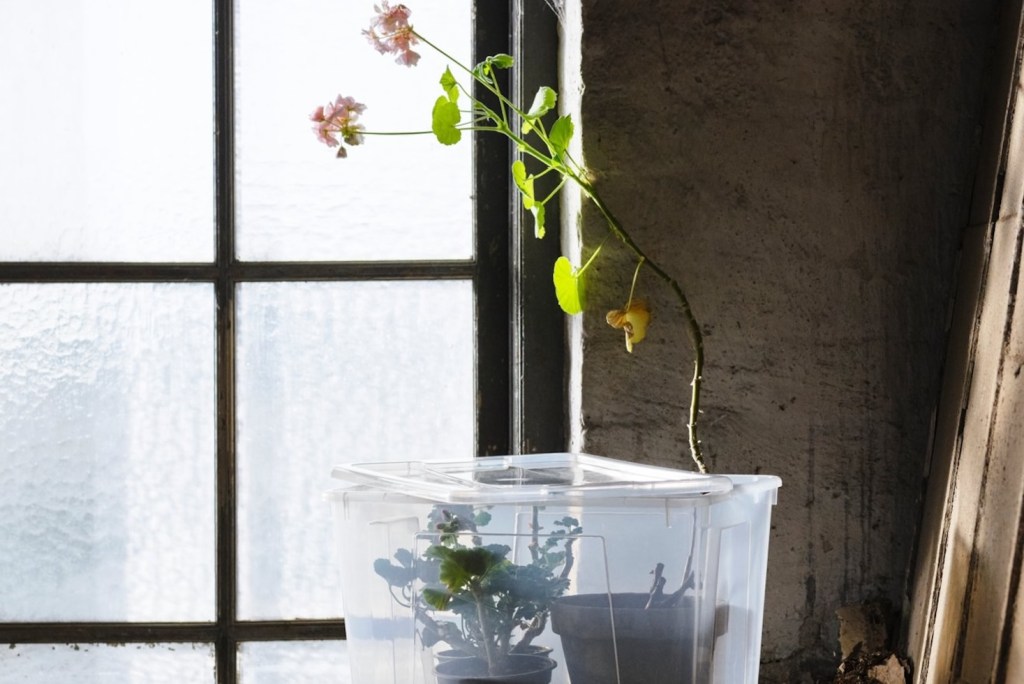 IKEA's biggest retailer funds Chinese food packaging recycler