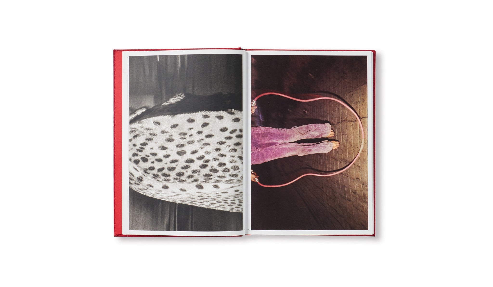 DARK KNEES by Mark Cohen – twelvebooks