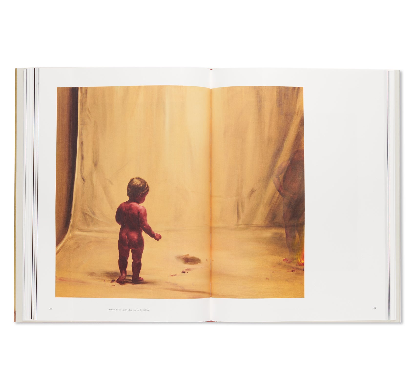 THE BADGER'S SONG by Michaël Borremans – twelvebooks