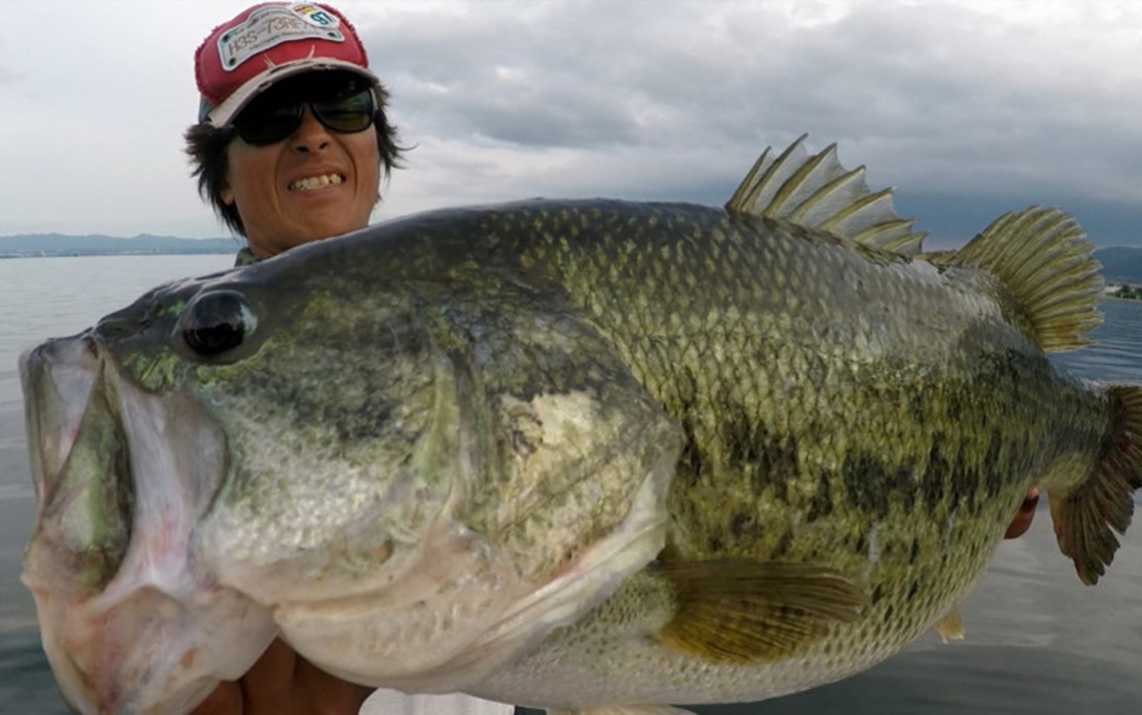 TULALA | Ford every stream | » Monstruo”ConceptDestruction” 66MLS