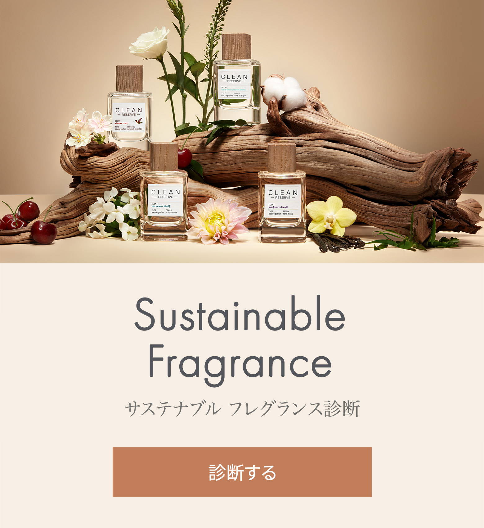 クリーン（CLEAN） | クリーン リザーブ ホイップドチェリー