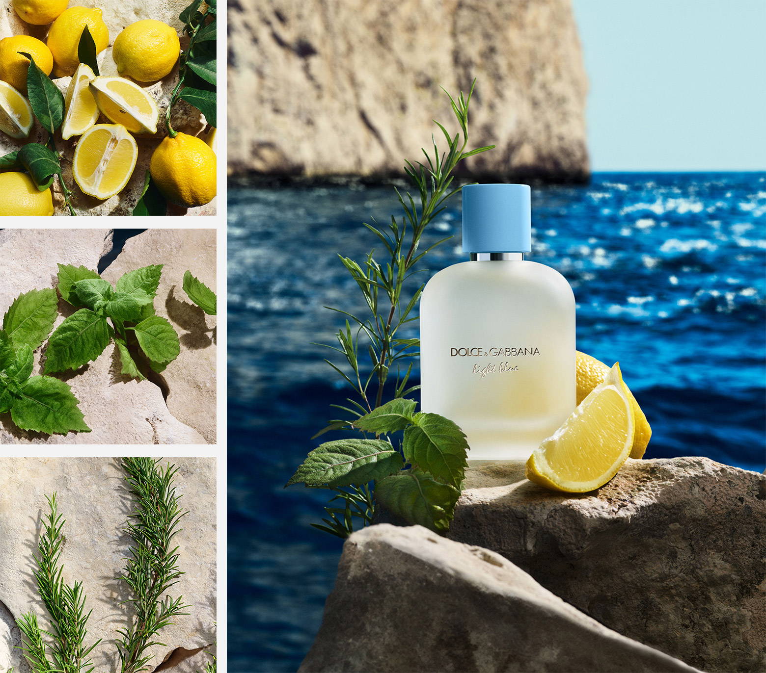 LIGHT BLUE｜DOLCE＆GABBANA（ドルチェ＆ガッバーナ）