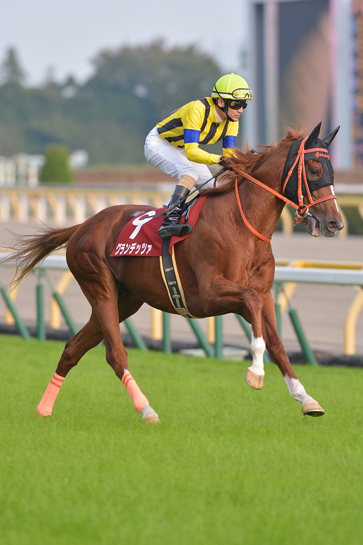 クラシックではキタサンブラック、ドゥラメンテらと対峙。香港で初の