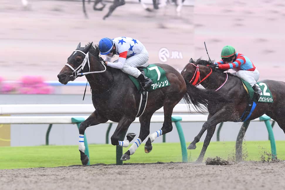 平安S】アウトレンジ堂々押し切り重賞2勝目 松山弘平騎手「着差以上に