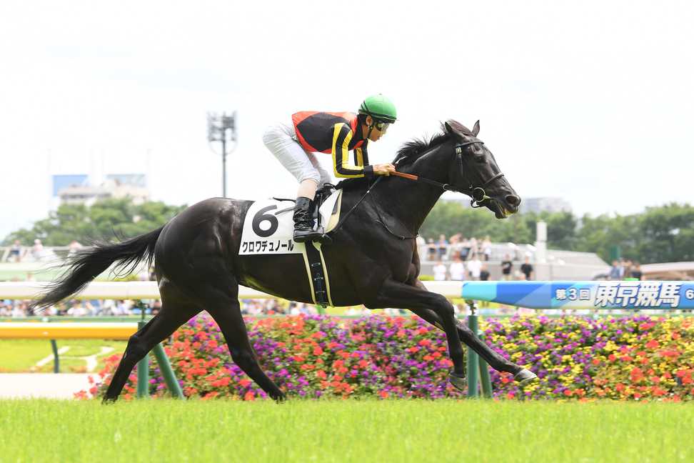 クロワデュノールは東京スポーツ杯2歳Sを視野 初戦は東京芝1800