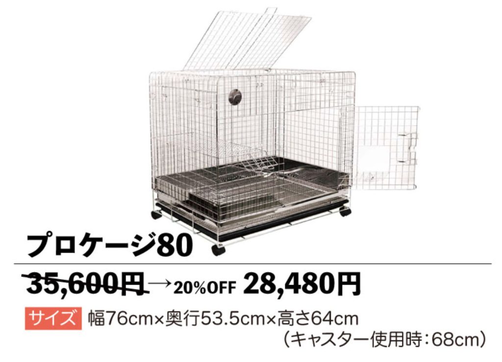 今回もやります！プロケージ大特価 20％OFF！！ | お知らせ | うさ