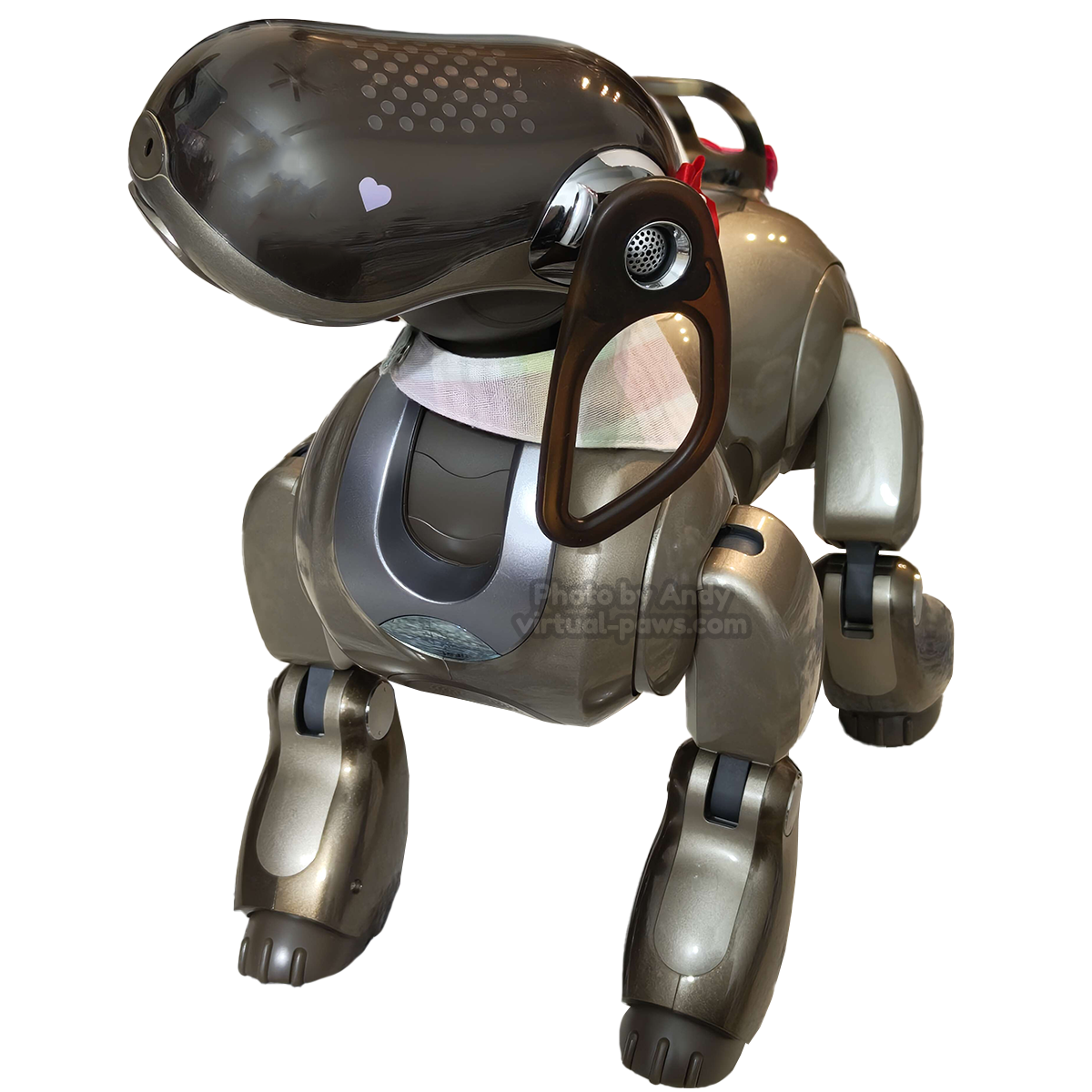ERS-7 Aibo Overview | Learn About Aibo | Virtual Paws