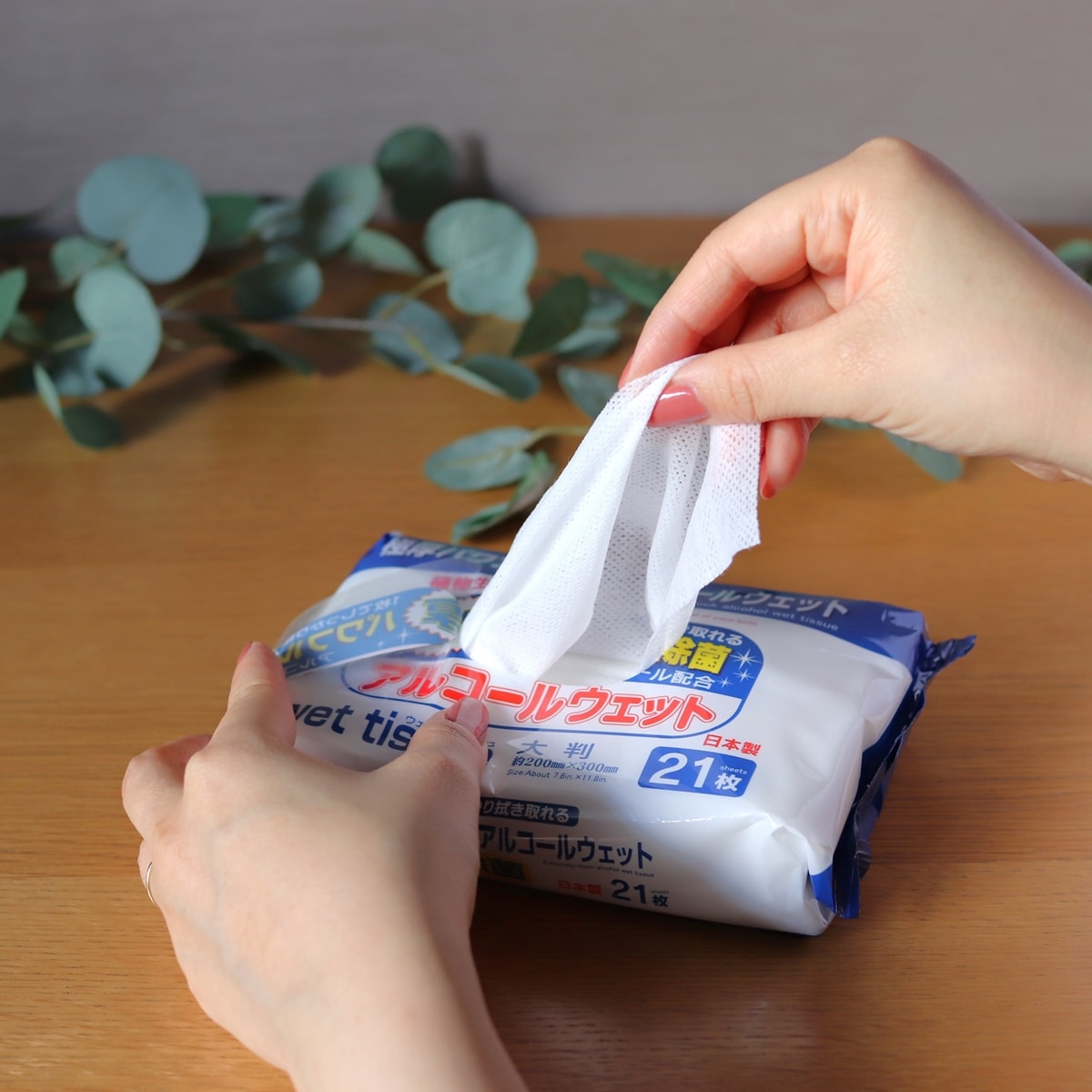 PB.極厚パワフル除菌アルコールウェット 大判 21枚 049121