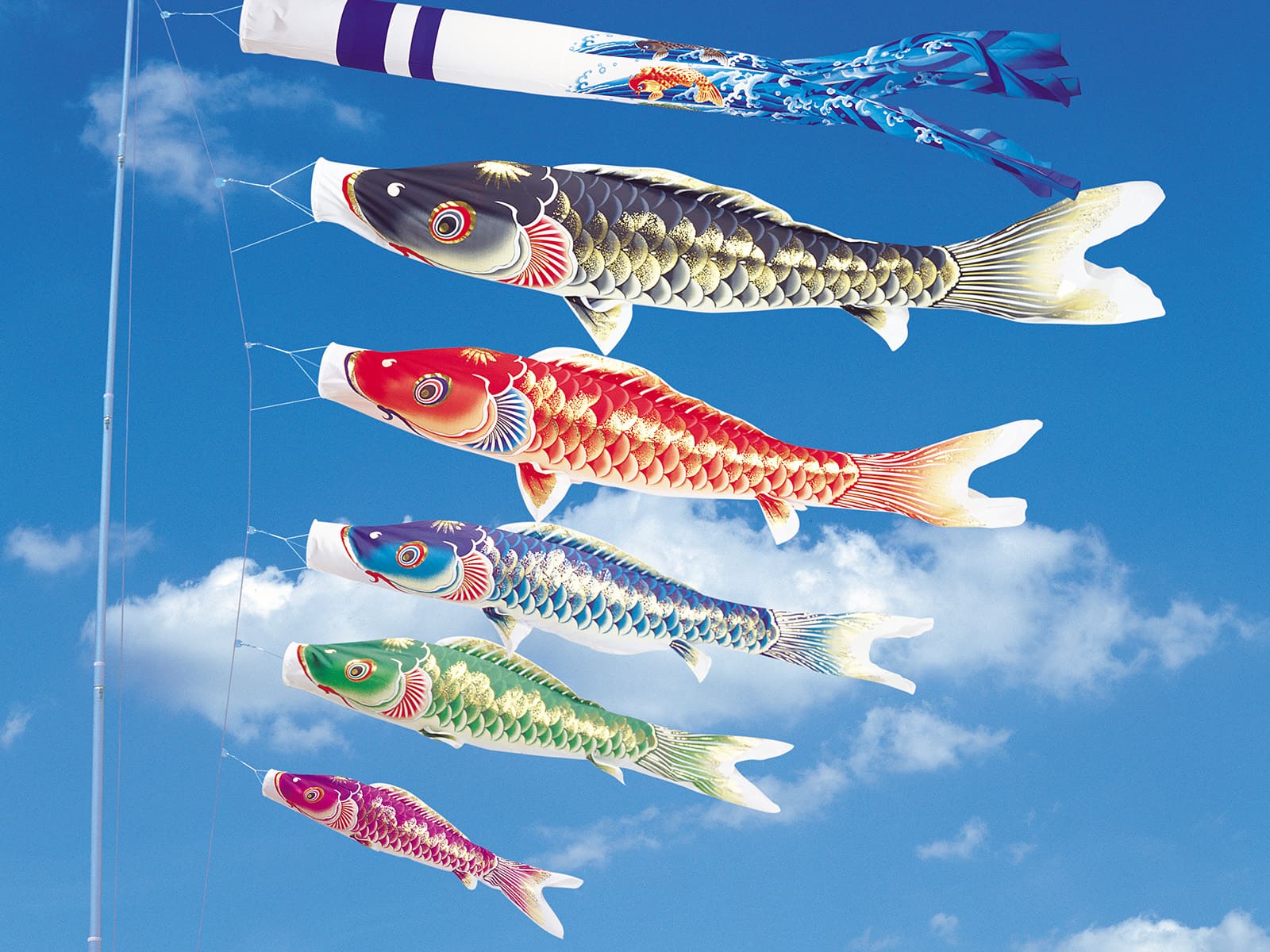 天華 ｜ ワタナベ鯉のぼり