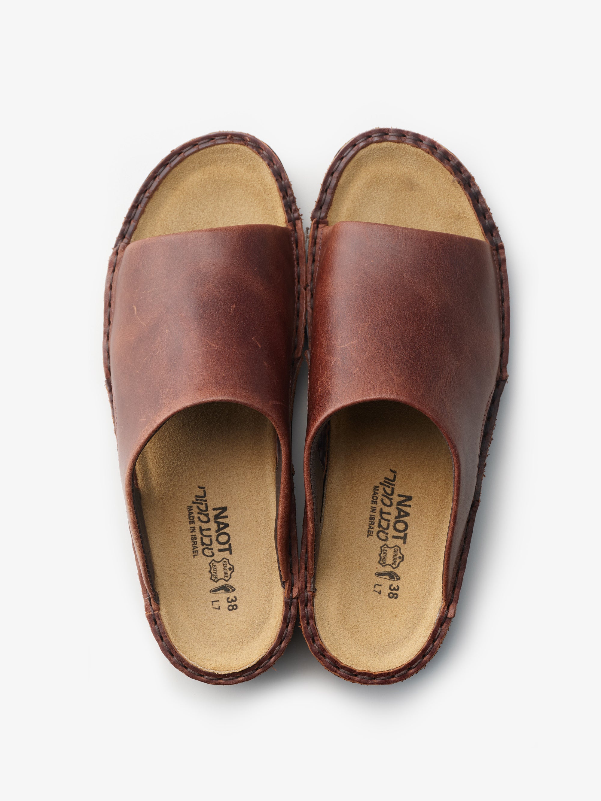 フロリダ NAOT CECILIA CECILIAシシリア｜NAOT（ナオト）- パンと