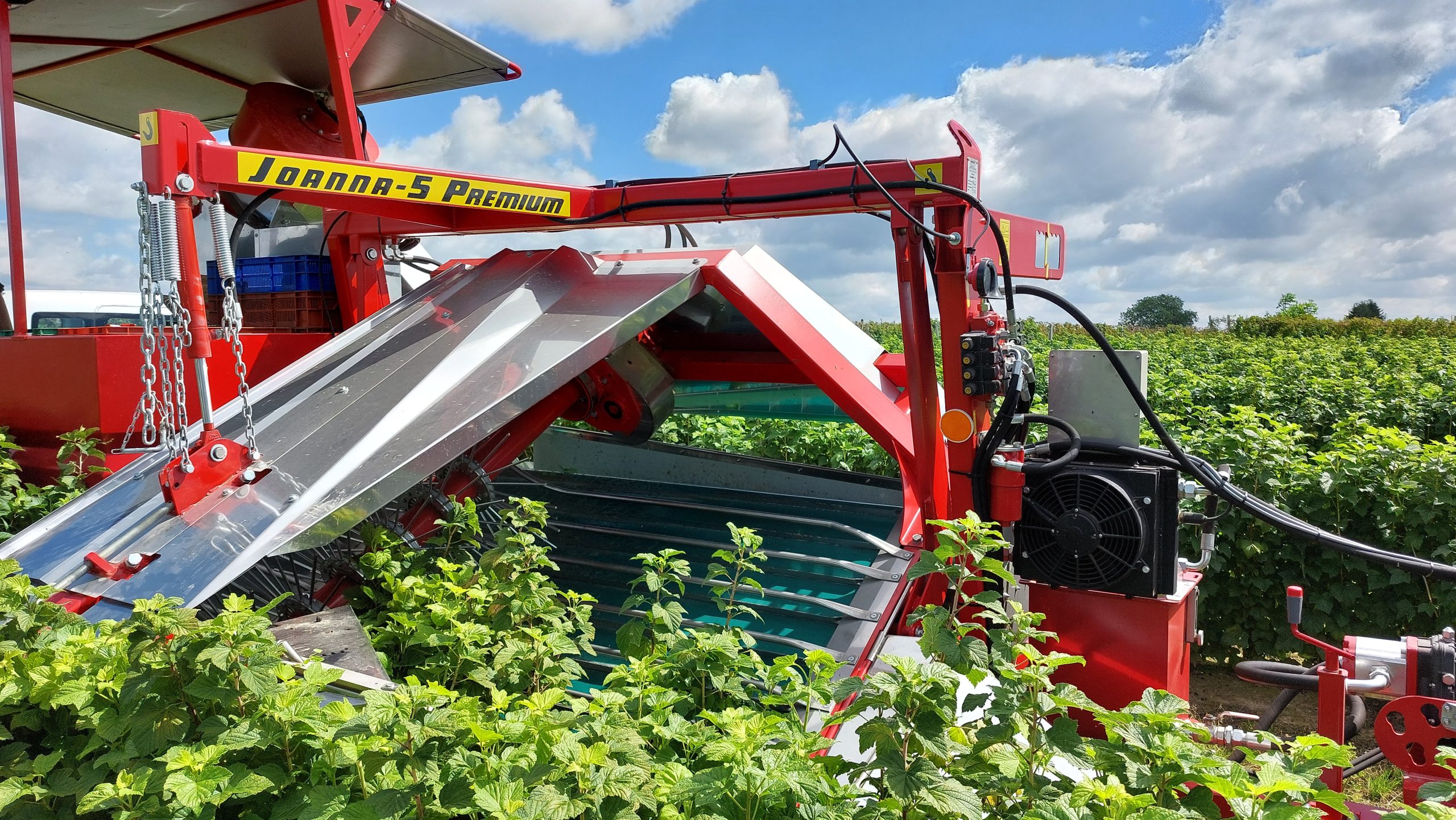 Berry harvester JOANNA-5 PREMIUM | Manufacturer