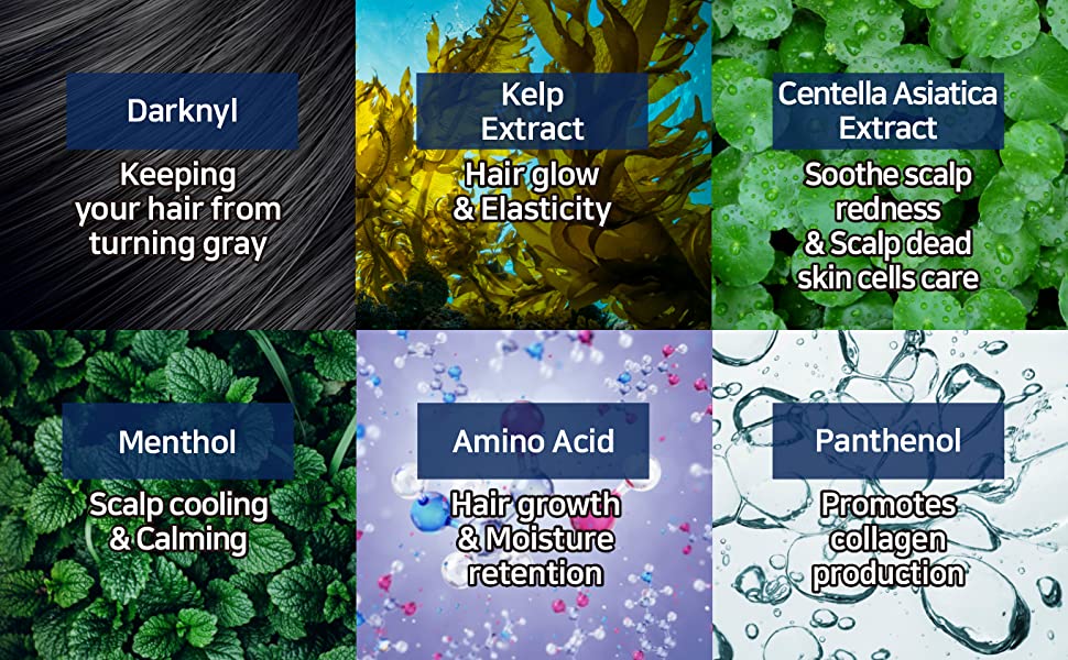 Hairbeam Hair & Scalp Care Kit – WiserLiving.net