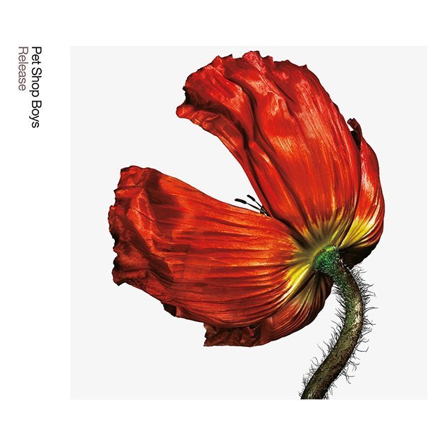 非売品 Petshop boys ペットショップボーイズ 大型 非売品 Petshop