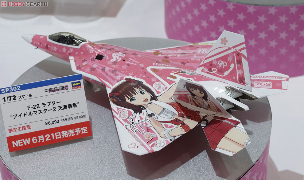 F-22 Raptor `The Idolmaster 2 Amami Haruka` (Plastic model