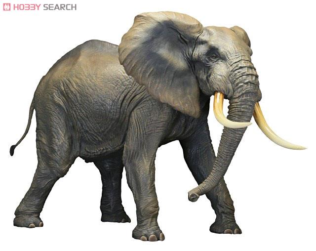ホビーサーチブログ - 全長約45センチ！超メガ級のアフリカゾウフィギュア