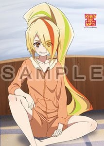 ゾンビランドサガ 描き下ろしB2タペストリー (二階堂サキ/ルームウェア