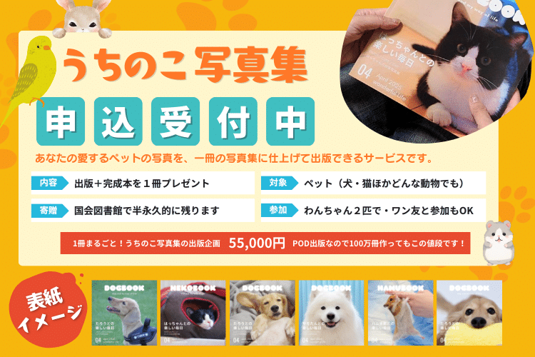 出版企画が開始！】みんなのわんちゃん達で作る犬種別ペットの写真集