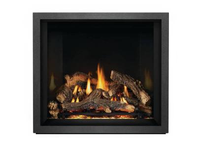 Napoleon EX36NTEL Elevation X 36 Direct Vent Gas Fireplace -