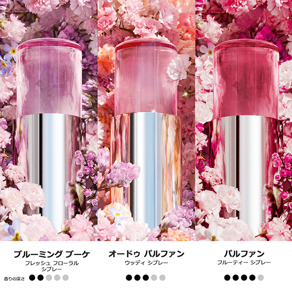 ミス ディオール オードゥ パルファン ミニ ミス / ディオール(香水