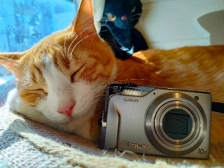 プレゼントにもおすすめ！ 1万円台で購入できるデジタルカメラ CASIO