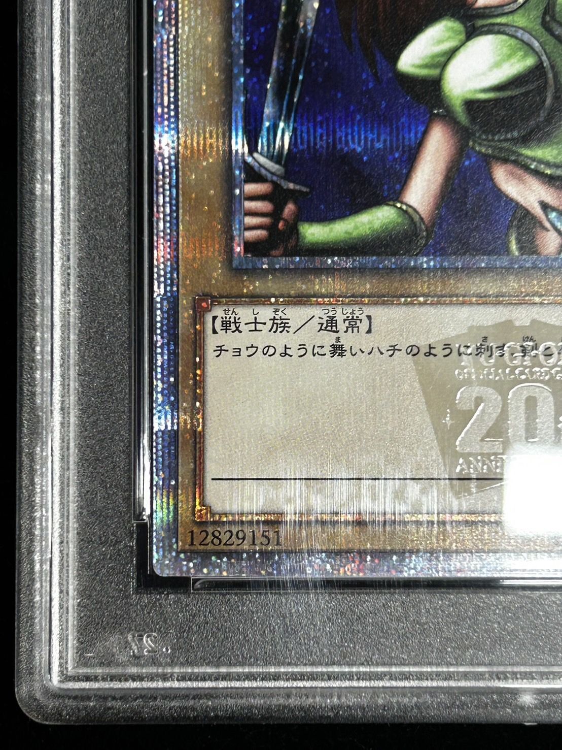 状態難/PSA10鑑定済〕女剣士カナン【20thシークレット】{TTPR-JP001