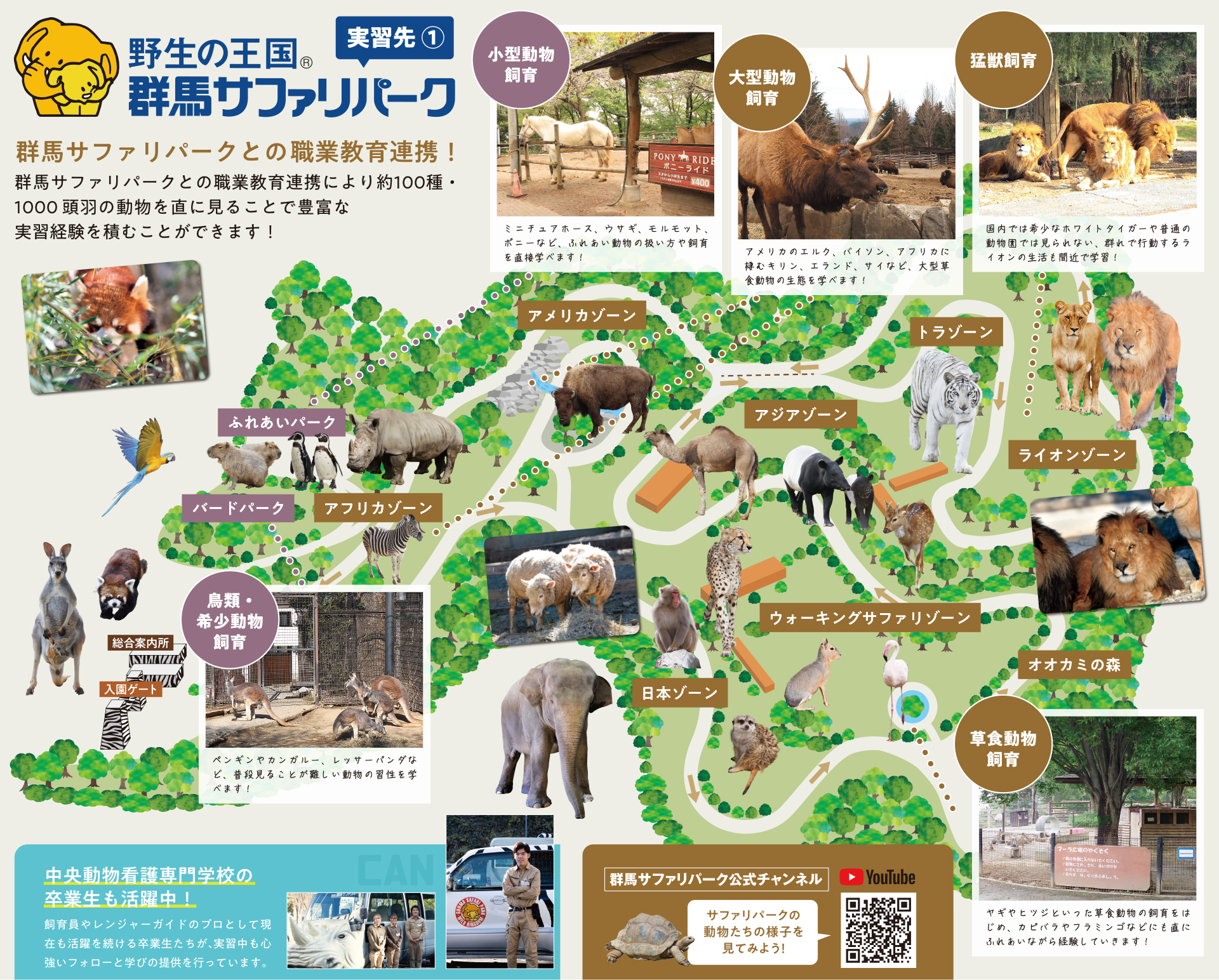 中央動物看護専門学校