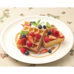 SBW-200 4分の4 ベルギーワッフルベーカー サンテック 【テフロン無