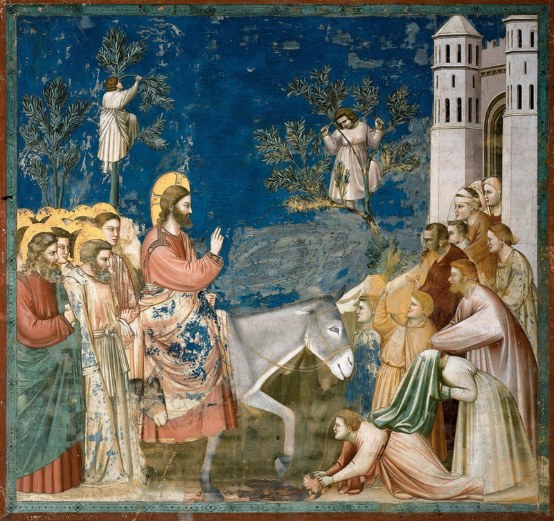 ルカ福音書を読む（43）「エルサレム入場」―平和の王であるイエス様