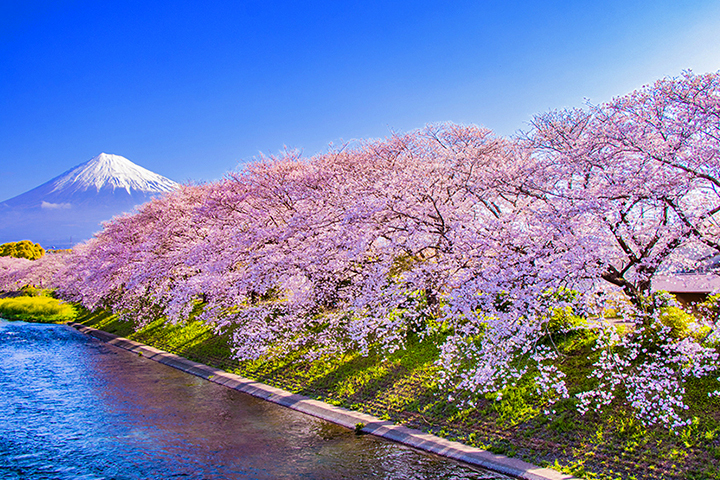 7：龍巌淵 | 静岡県富士市