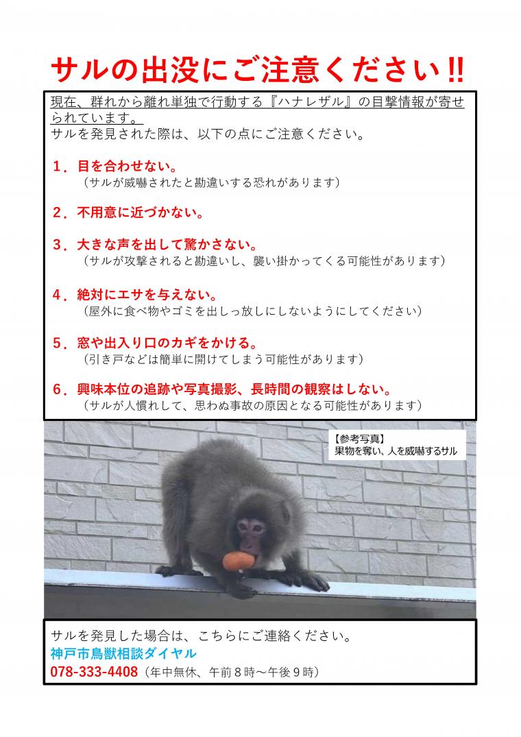 神戸市北区：サルの出没情報