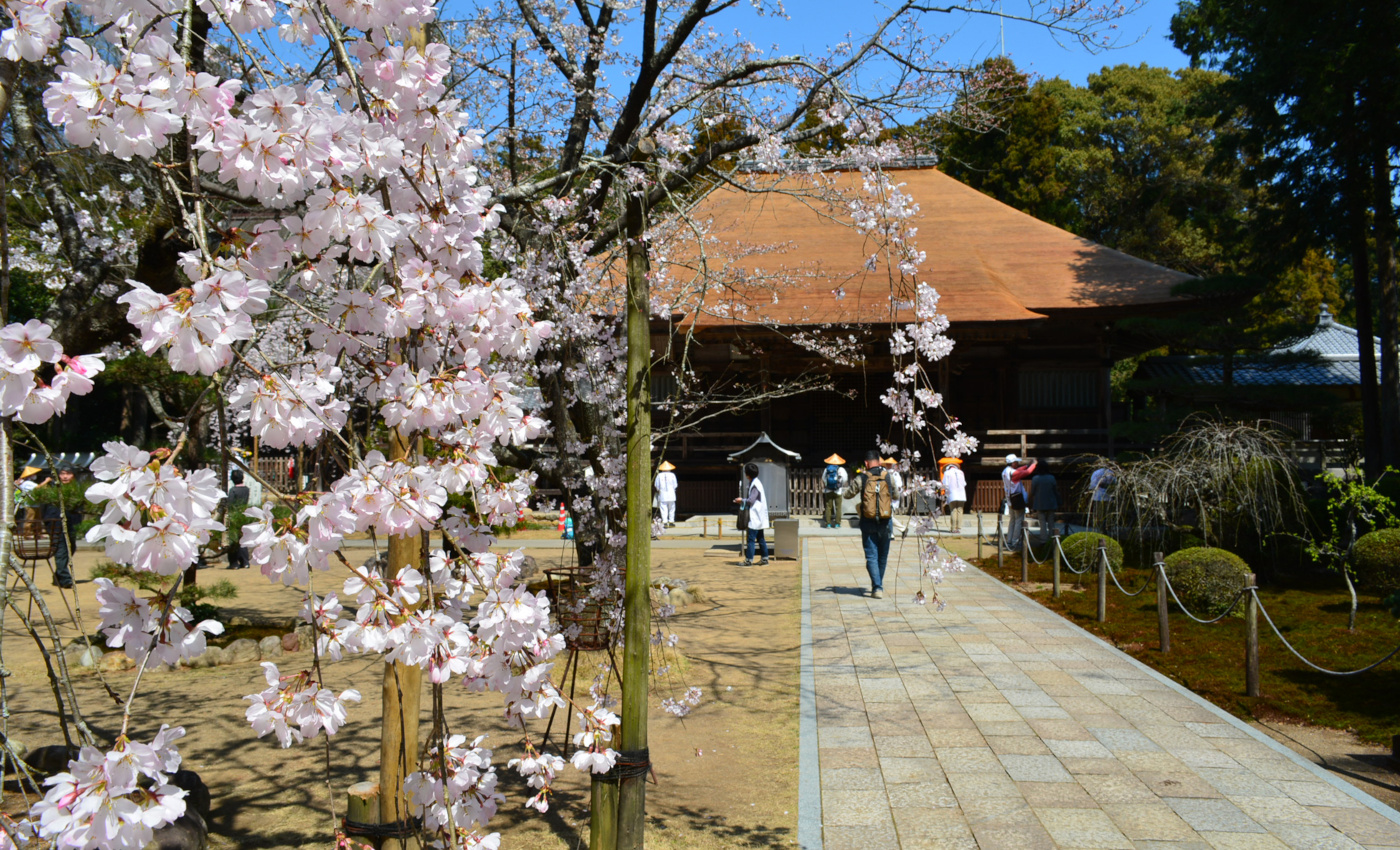 南国市公式ホームページ