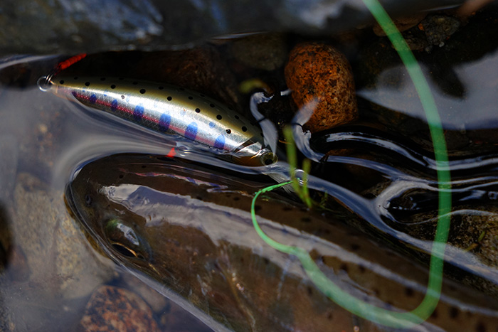 Casket カスケット｜トラウト、バス、ソルトルアー専門店｜通販可能｜