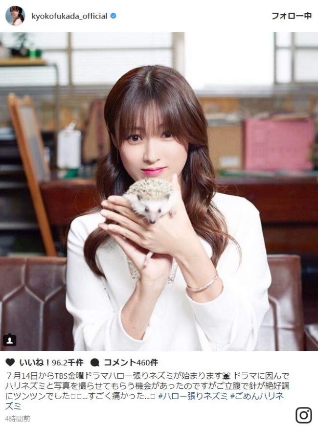 深田恭子、ハリネズミとの“かわいい×かわいい”ショットに「癒されます