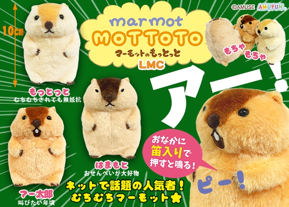 ≪2月の新商品≫マーモットのもっとっと-NEW ITEM！｜アミューズ最新情報