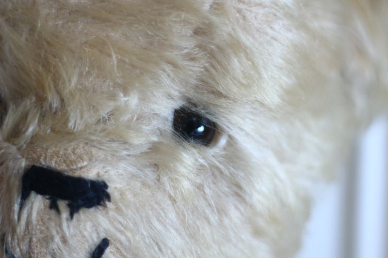 Antique toricoTte RARE!! J.P.M. 社 Bear/France/15.5in/Antique