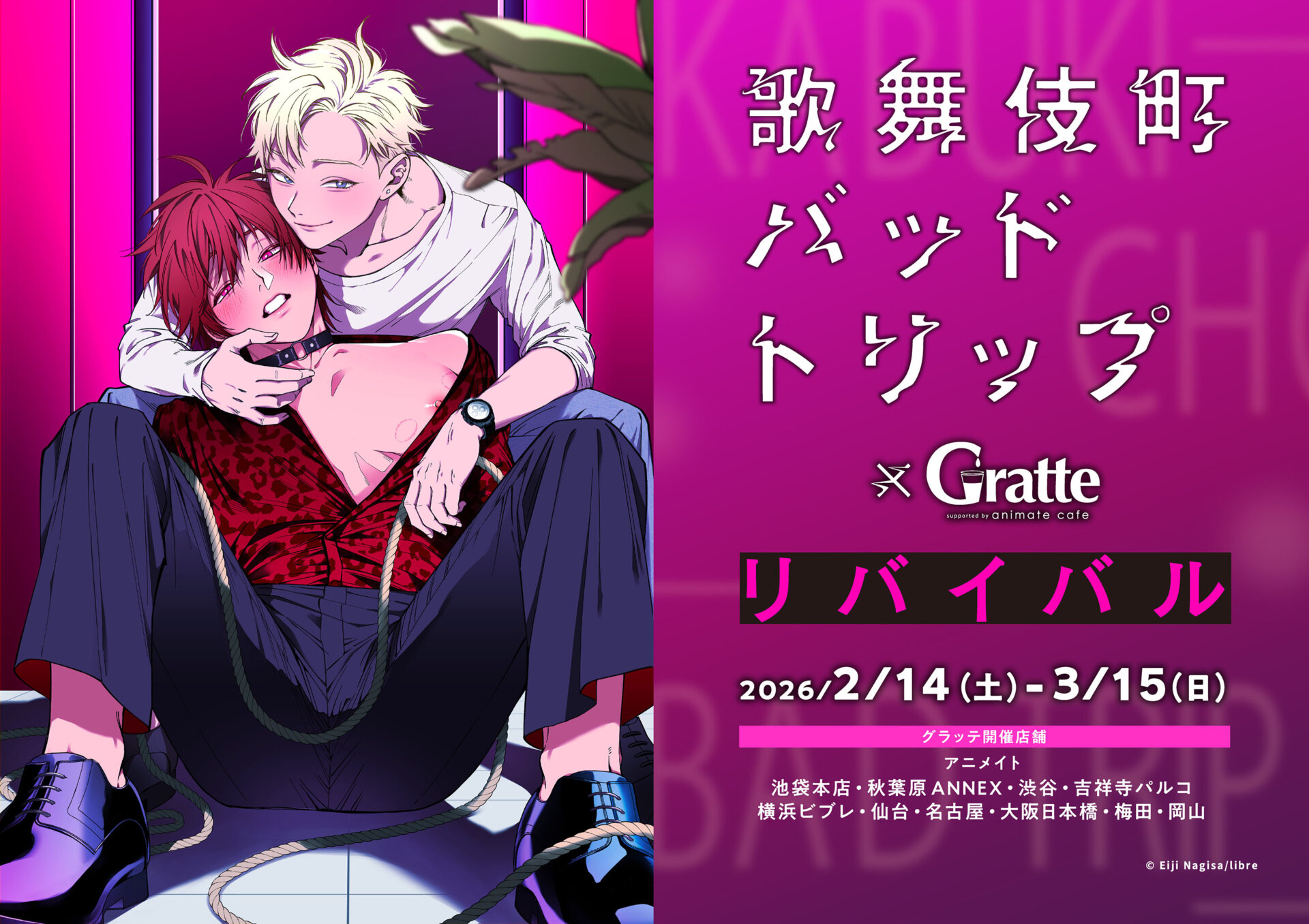 東谷准太 Birthday Gratte | Gratte | 株式会社アニメイト