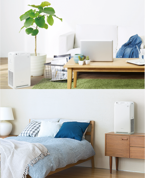 2022年モデル ACM55Y 製品情報 | 空気清浄機（住宅設備店取扱商品