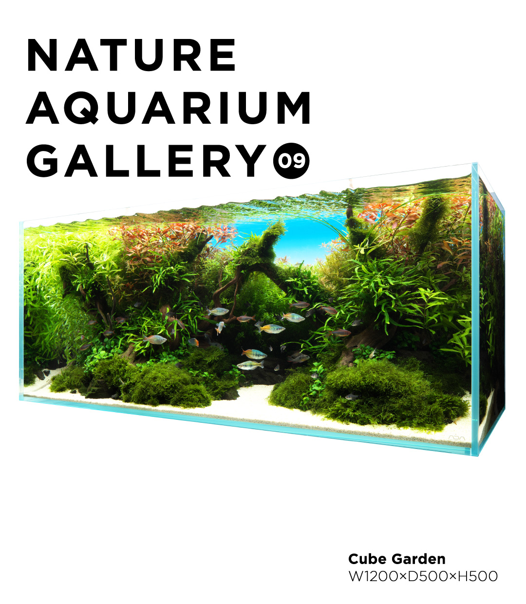 The World of Nature Aquarium” in the USA | ADA - NEWS RELEASE