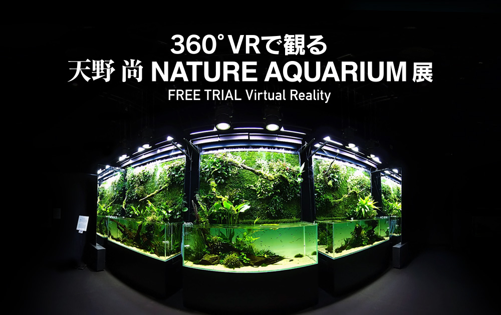 天野 尚 NATURE AQUARIUM展 360°VRサイトを公開しました | ADA - NEWS