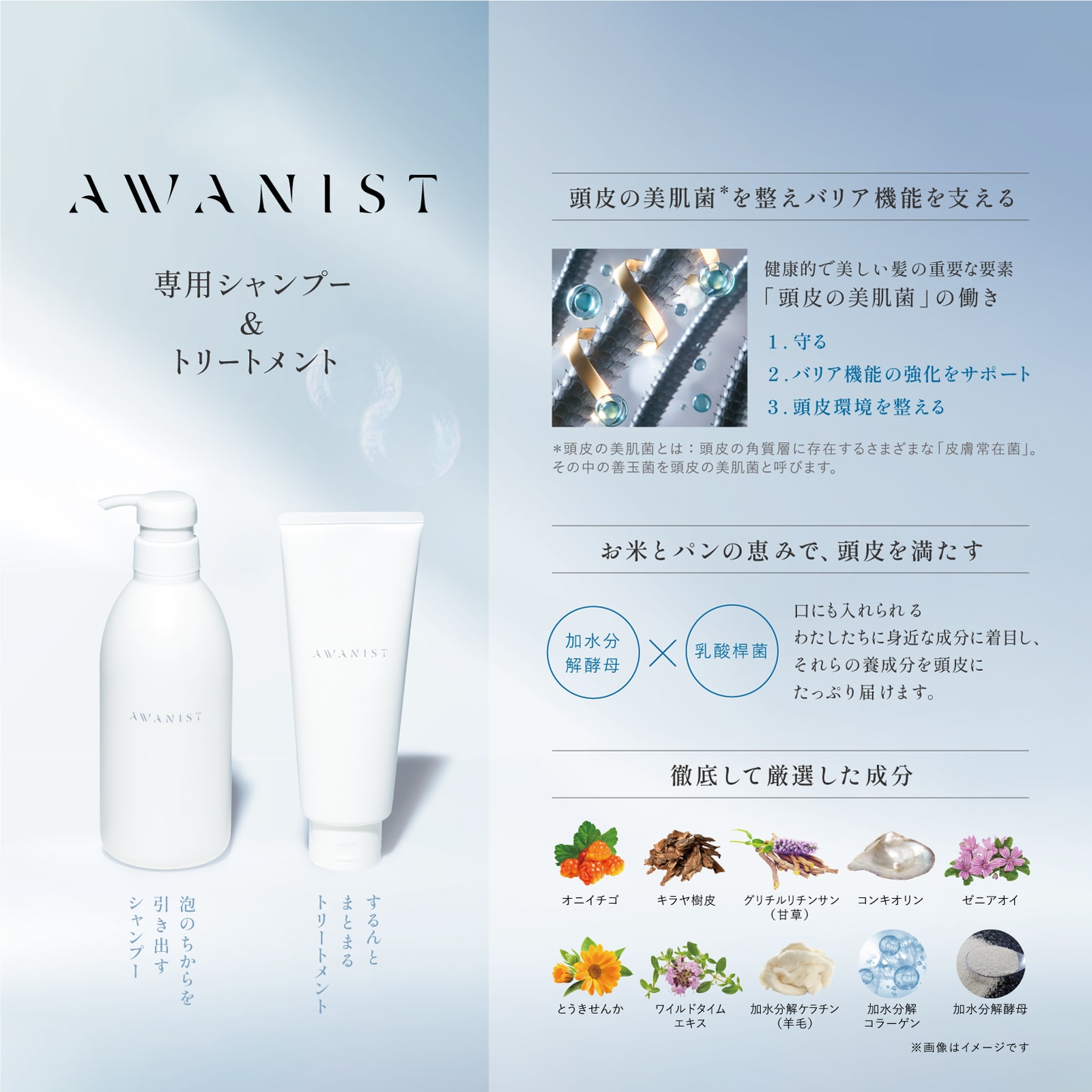 AWANIST,アワニスト,泡ニスト,スカルプケア,スカルプケアマシーン